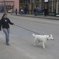 316-0430 Walking a Dog in Skagway AK
